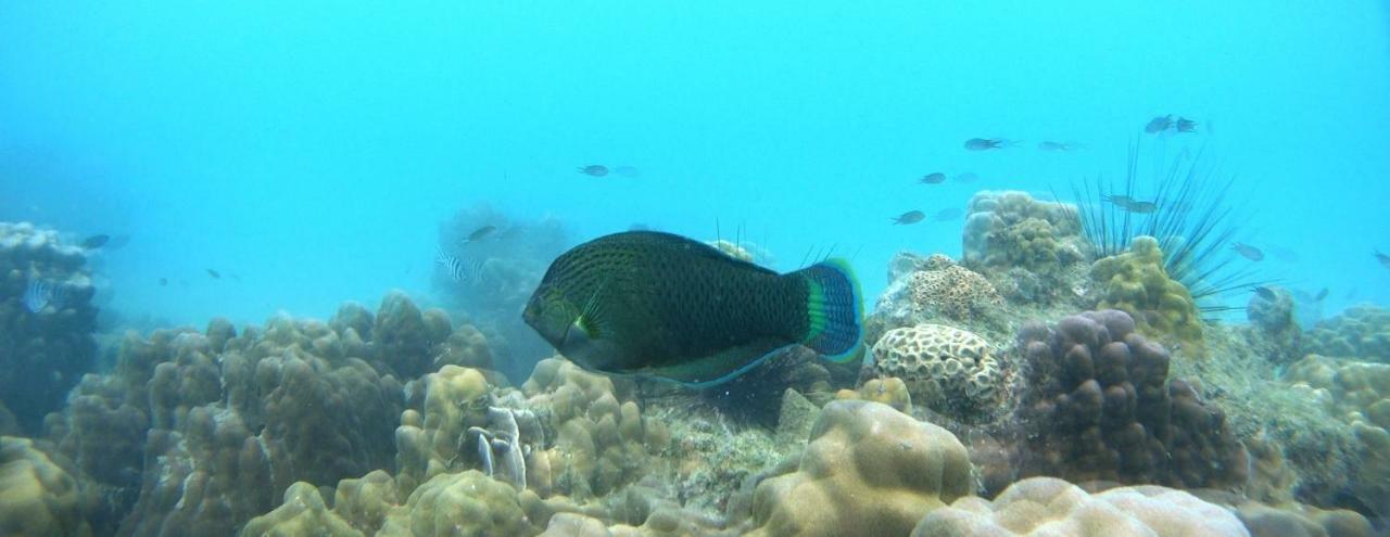 Ao Pong Resort Koh Mak Zewnętrze zdjęcie